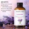 Lavender Essential Oil | 100% Pure and Natural | 1