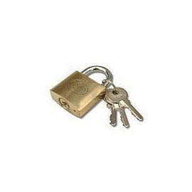 25mm Steel Shackle Solid Brass Pad Lock
