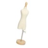 Dress Form Female Mannequin Torso Mini Dress Model with Wooden