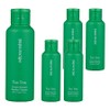 Papa Recipe Tea Tree Control Enzyme Powder Cleanser, 50g, 5 pcs / 파파레서피 티트리 컨트롤 효소 파우더 클렌저, 50g, 5개
