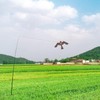 Bird Hawk Flying Kite with Pole Crop Protector Bird Scare
