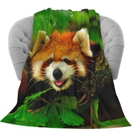 Dujiea Manta de franela con diseño de Panda Roja Climbs A Tree, 100 x 122 cm, súper suave y ligera para sofá, silla, acogedora manta de cama para niños y adultos