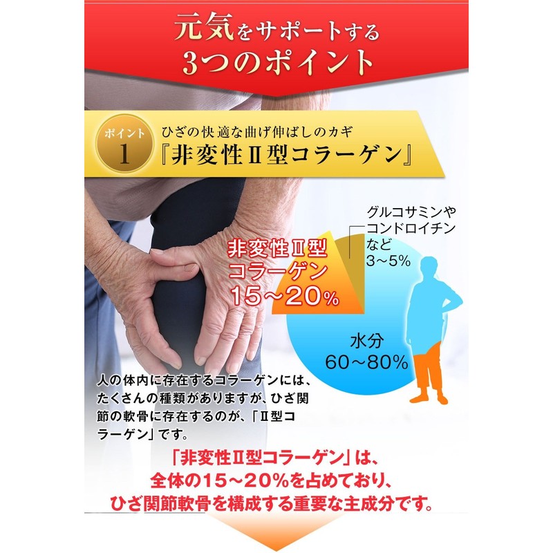 Everlife Koujun Kiwami 180 Tablets, Approx. 1 Month Supplement with