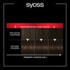 Syoss Professional Performance Permanent Colouration, High-Quality Hair Colour, 3_1 Dark