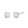 Limerencia Hypoallergenic G23 Titanium Earrings, F136 Implant Grade Pure Titanium