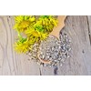 Health Embassy Oman Root | Elecampane Root | Inula Helenium