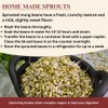 Darsa Organics Green Beans Whole Moong - 2 lb, USDA