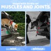 Dog Car Steps – Portable Non-Slip Pet Stairs for High