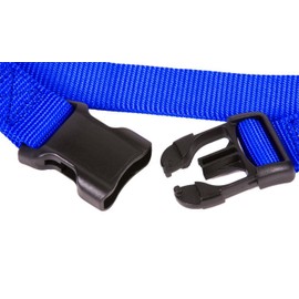 Nylon Dog Collar Collar Buckle with Security 1 (2.5 cm wide, blue