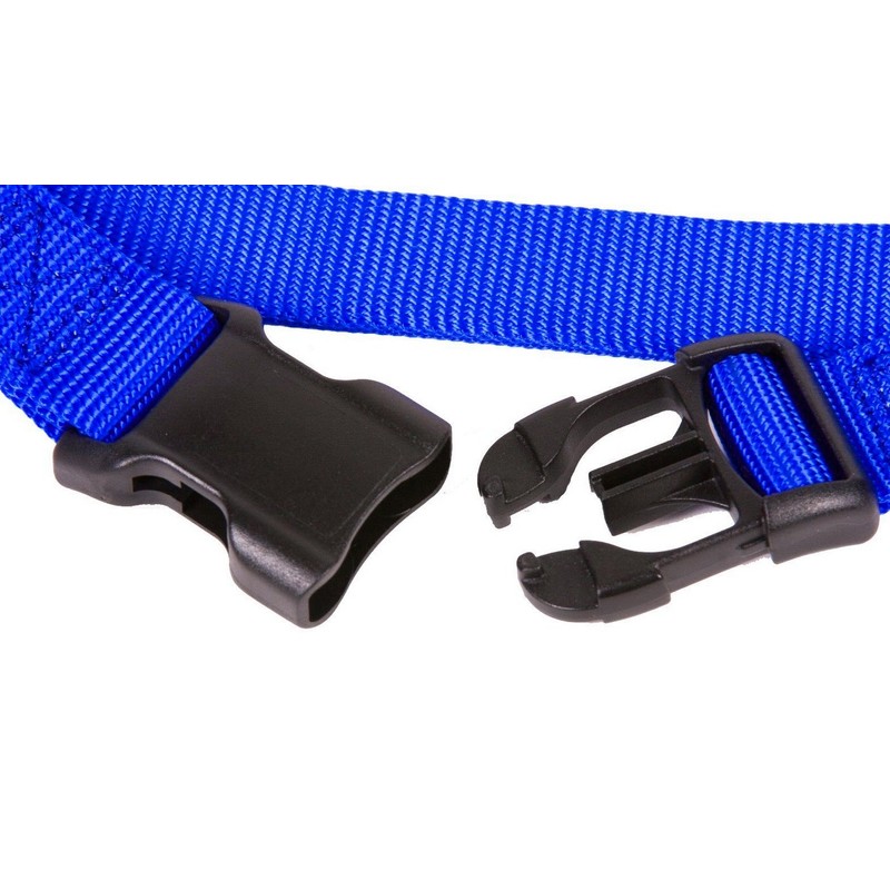 Nylon Dog Collar Collar Buckle with Security 1 (2.5 cm