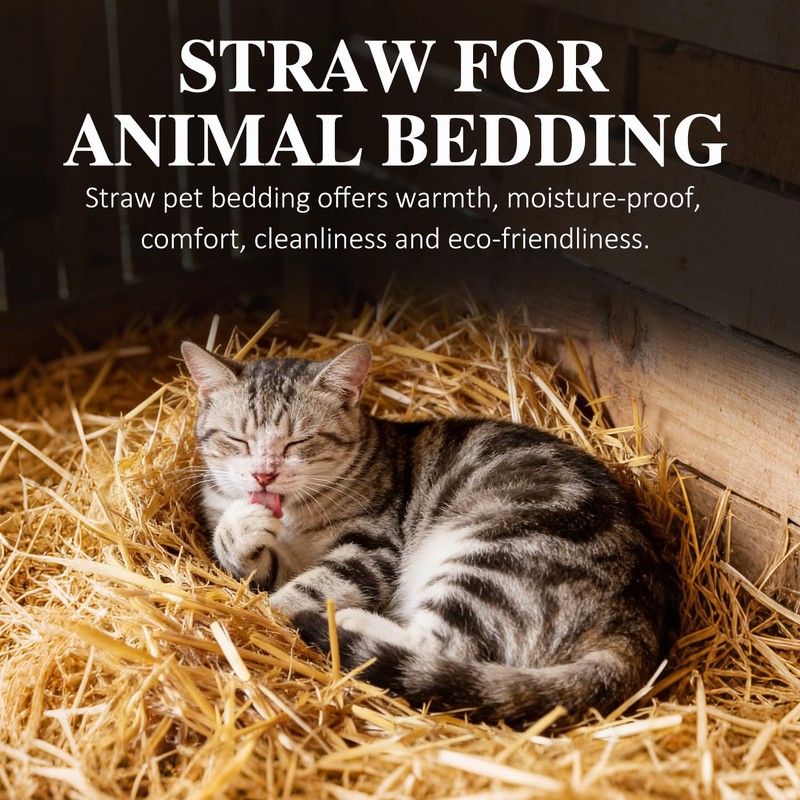 VNAKER Natural Dry Wheat Straw for Garden Mulch Stray Cats