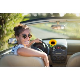 SANDINI Autovase mit Seidenblume/Kultblume Passend für jedes Auto (Sonnenblume)