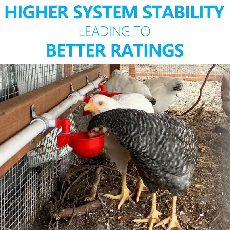 Automatic Chicken Watering System with PVC Pipe (Real Complete Set