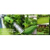WORKPRO 12V Cordless Grass Shear&Shrubber