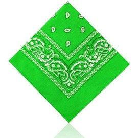 Lizzy Paisley Multifunctional Bandana's Headwear Neckwear Neckerchief Cycling Cowboy Scarf Head Neck Gaiter - Mens Womens Multipack Assorted Men Hair Pirate Bandana (Lime Green)