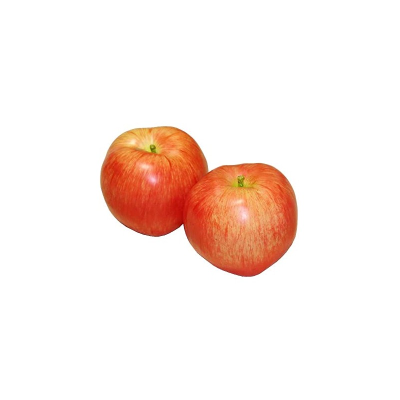 GuCra Set of 2 Realistic Apples Food Sample Fruit Model