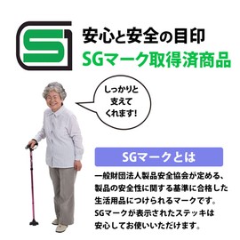 WALK SUPORT 4 Point Freestanding Stylish Stick with LED Light Black