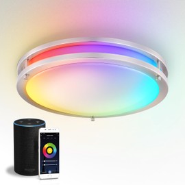 ASD LED 16 Inch Round Flush Mount Light Fixture | 24W 1575LM RGB-2700K-6500K 120V | Smart, Multicolor, Dimmable, ETL Listed | Close to Ceiling Double Ring Lamp, Low Profile Lighting | Nickel