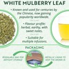 White Mulberry Leaf Premium Loose Herbal Tea Morus Alba (300g)