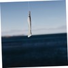 Mipcase 6pcs Double-Color Imitation Fishing Lures for Sea Fishing Simulation