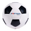 Sport-Thieme Football training