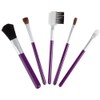 Exceptional Parfums Set-5 Piece Travel Makeup Brush Set