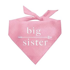 Big Sister with Arrow Gender Reveal Baby Announcement Dog Bandana (Baby Pink, OS 1)