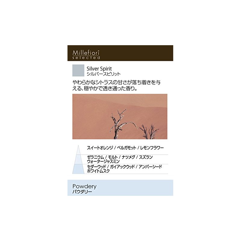 Car Air Freshener Argento - Silver Spirit