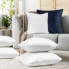 Clara Clark Throw Pillows - Premium Couch Pillow Inserts for