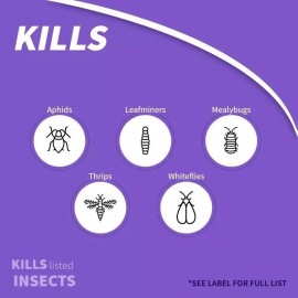 Bonide Systemic HOUSEPLANT INSECT CONTROL Plant Bug Ants Roaches Spiders 8oz