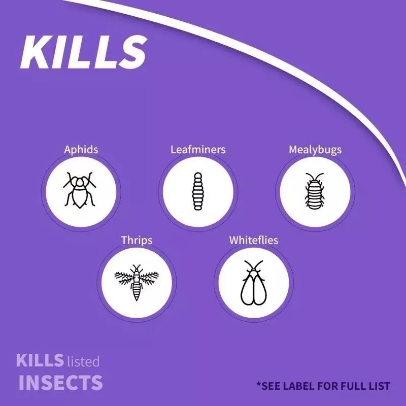 Bonide Systemic HOUSEPLANT INSECT CONTROL Plant Bug Ants Roaches Spiders