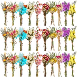 Nuanchu 30 Pcs Mini Dried Floral Flower Forget Me Not Bouquets Dried Embossing Flowers with Stem for Vase, Wedding, DIY Scrapbook Card Party Decor (Stylish)