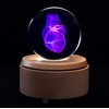 XINDAM 3D Human Heart Anatomical Model Paperweight(Laser Etched) in Crystal