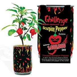 Extra Hot Red Trinidad Scorpion Chili Pepper Growing Kit by Magic Plant – Home Grown Caribbean Heat | DIY All-in-One Heirloom Grow Kit | 1.2M - 1.5M SHU | Indoor or Outdoor Gardeners or Gift (1 Kit)