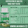 STRENAX STRENAX Organic Moringa Powder Capsules C Natural Dietary Supplement
