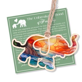 Elephant Friendship Ornament with Story Card - Friendship Gifts for Women, Best Friend Birthday Gifts for Women, Gifts for Best Friend Woman, Suncatcher Elephant Decor