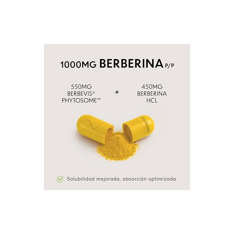 Berberina 1000mg Vitfinity Redefinimos Estándar Suplementación 10x Absorción Berbevis Phytosome