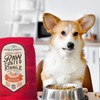 Stella & Chewy's Raw Coated Beef Recipe Dog Food 10lb