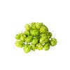 Hop Blossoms Whole 100 g | Hop Blossom Tea |