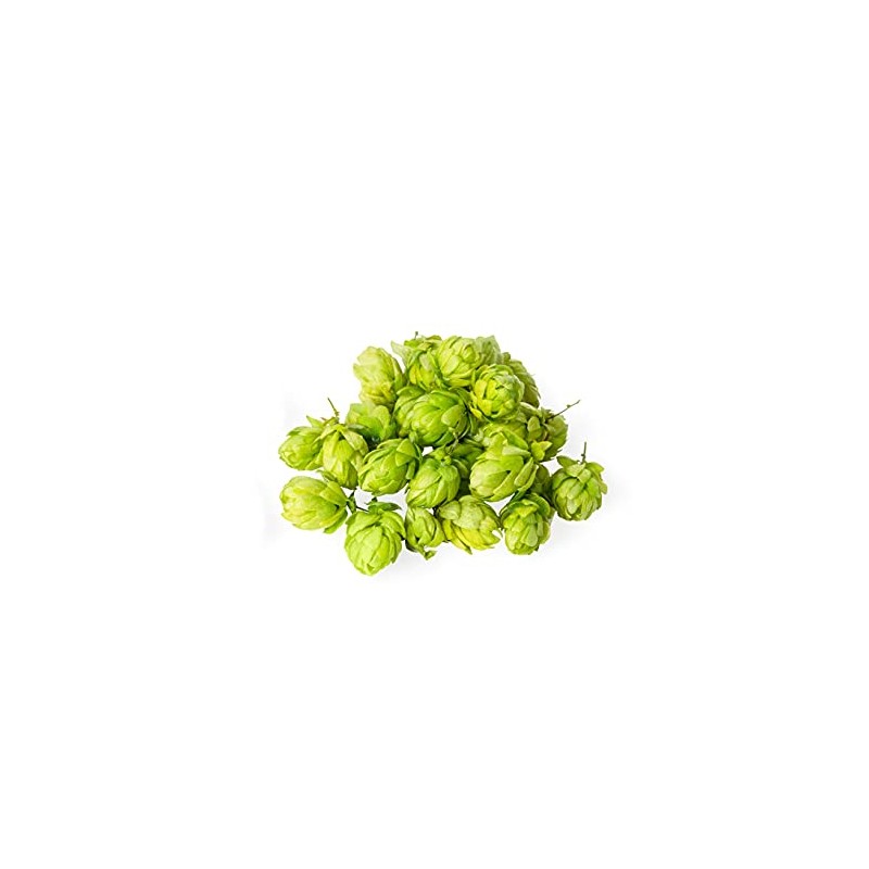 Hop Blossoms Whole 100 g | Hop Blossom Tea |