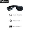 The BigLeash S-15 Remote Dog Training Collar with FireFly Nightlight