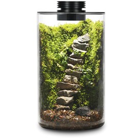 Desktop Glass Plant Terrarium with Grow Light (H:9.8" D:5.9"), for Succulent, Moss, Miniature Gardening Landscape, Betta Fish Tank, Office Home Decoration, Plant Lovers Gifts