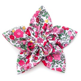 The Worthy Dog Spring Garden Flower for Dog Cats Pets Wedding Birthday Party Attachable Collar Decor Sliding Accessories - Large, Coral