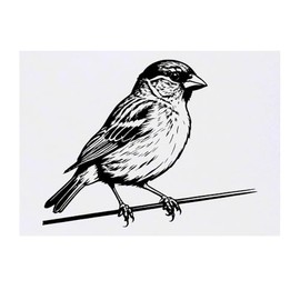 'House Sparrow' Temporary Tattoo - Water Resistant, Skin-Safe, Non-Toxic Transfer (TO00078275)