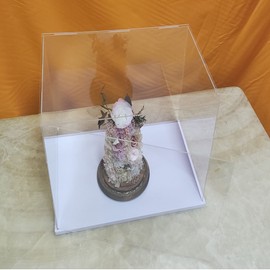 MEEC Hinged Display Case Made of Transparent Acrylic for Assembling the Counter Box with White Base for Display Transparent Display Case, Dustproof Display Case for Action Figures, Toys (10 x 10 x 10