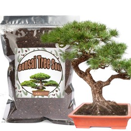 Doter Bonsai Soil Mix 1qt Ready to Use, Organic Bonsai Tree Soil Fits for Small Bonsai Pot, Suitable for Bonsai Seedling, Repotting, or Bonsai Starter Kit