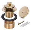 PRIMSOPH Lift Turn Tub Drain Trim Kit with One Hole
