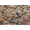 Higgins 2 Pack of Worldly Cuisines Tuscan Dream Bird Treat,