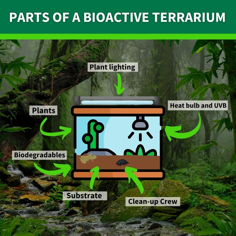 The Bio Dude Terra Sahara Bioactive Reptile Substrate 6 quarts