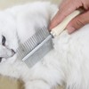MultiValue 2-in-1 Flea Comb for Dogs Cats, Stainless Steel Cat